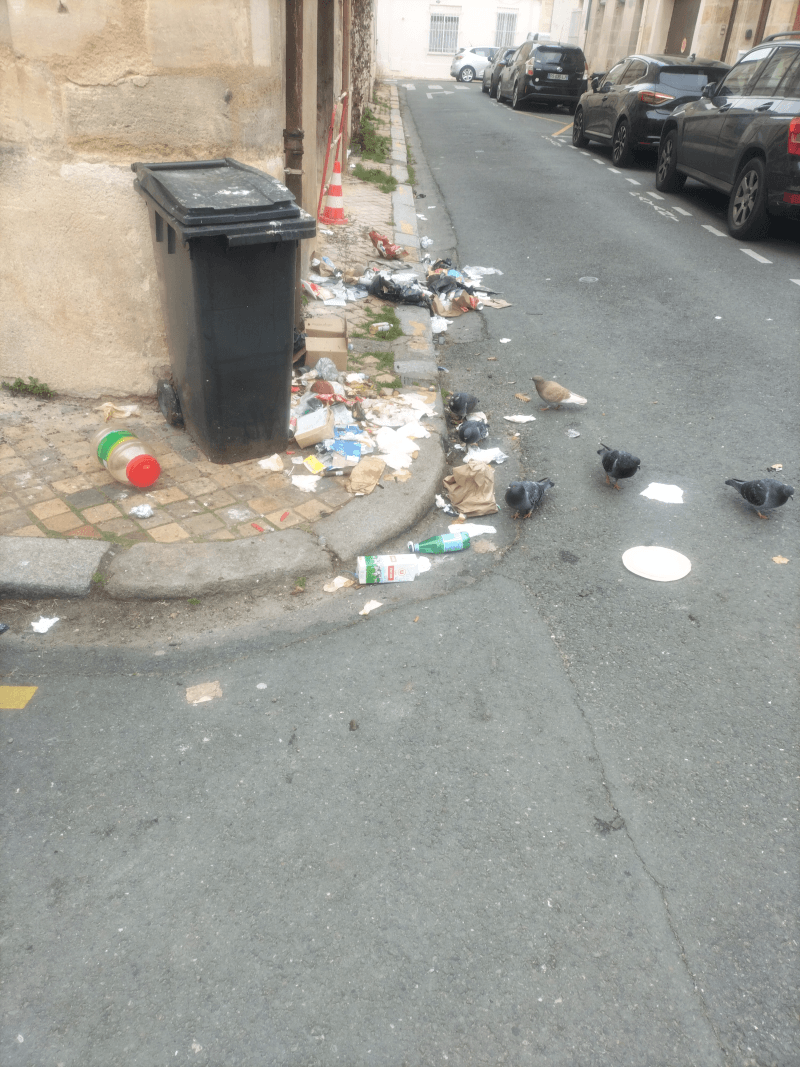 Signalement à Bordeaux