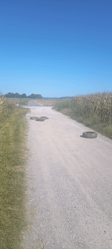 signalement à Bordères-sur-l'Échez