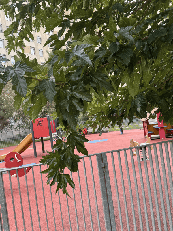 signalement à Boulogne-Billancourt
