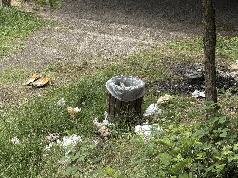 Propreté, 6 Impasse Raoul Desvignes, Brive-la-Gaillarde