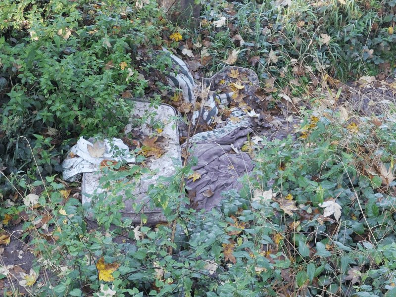 Dépôt sauvage, 7 Rue du Pont Perronet, Brunoy