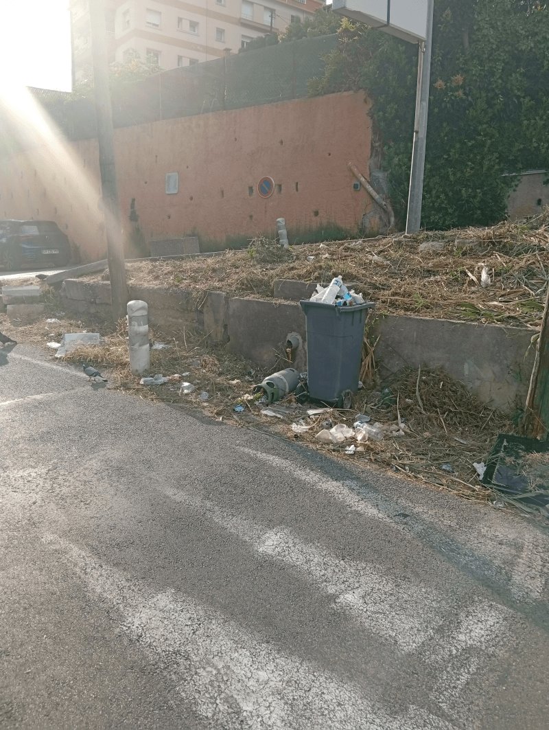 Propreté, 29 Chemin des Espartes, Cagnes-sur-Mer