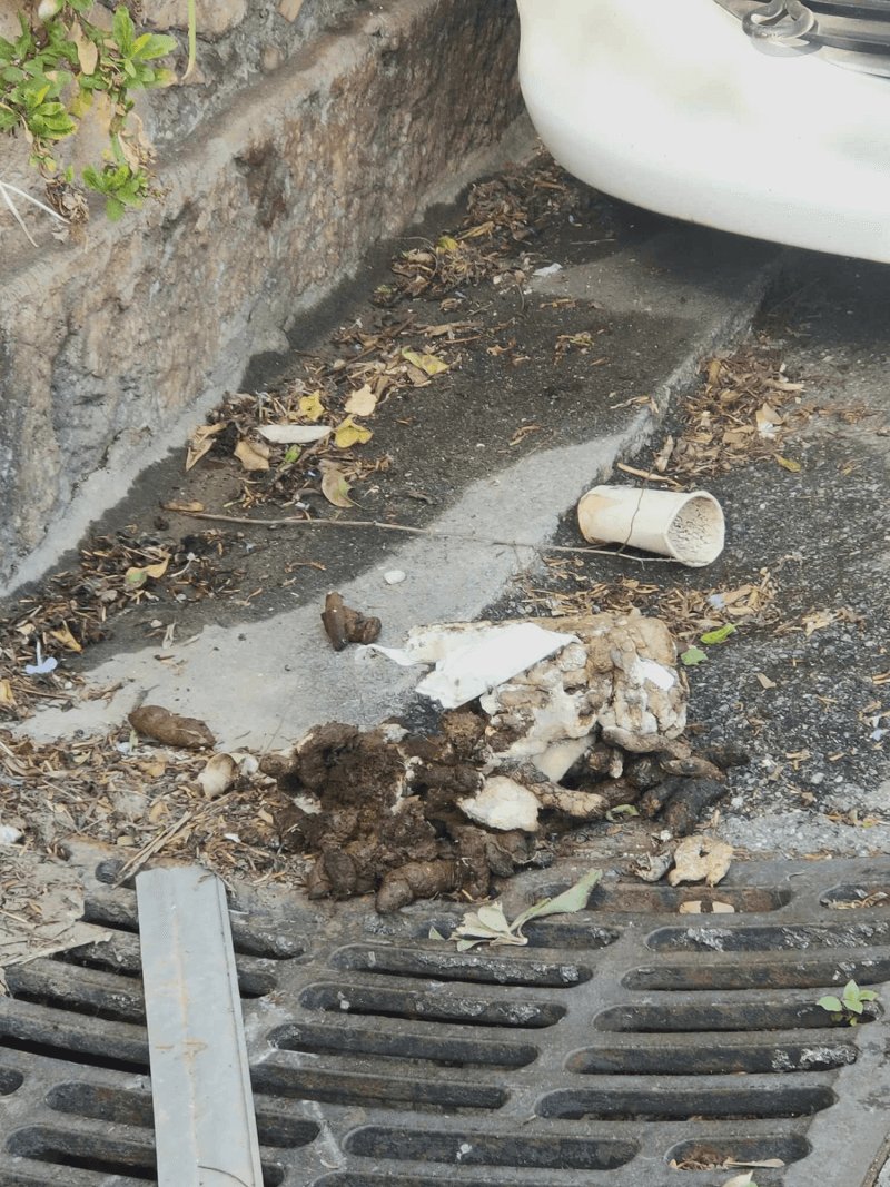 Propreté, Avenue Howarth, Le Cannet