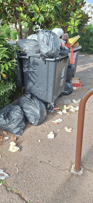 Propreté, 71 Avenue Maurice Cheval, Le Cannet