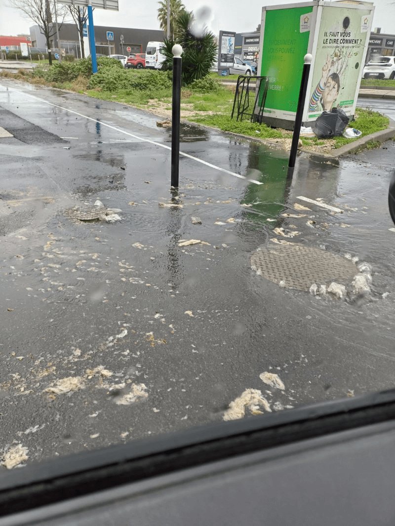 Autre, 820 Route de Nîmes, Castelnau-le-Lez