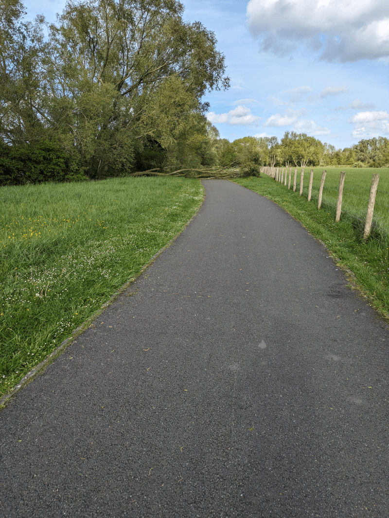 signalement à Caudebec-lès-Elbeuf