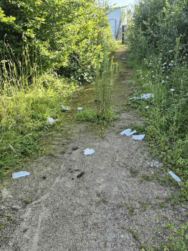 signalement à Cesson-Sévigné
