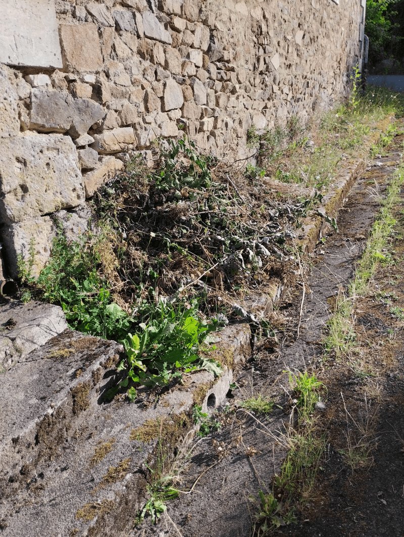 Dépôt sauvage, Rue du Champ de Foire, Chabanais