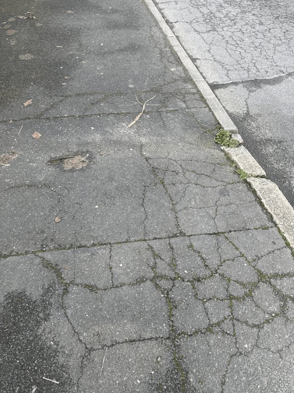 Voirie, éclairage, 102bis Rue du Plessis-Trévise, Champigny-sur-Marne