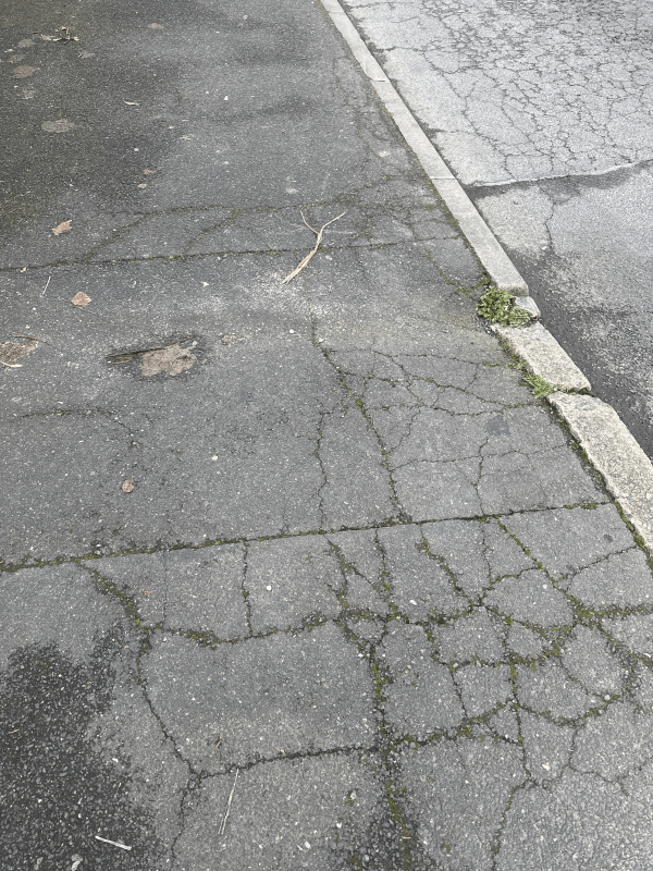 Signalement à Champigny-sur-Marne