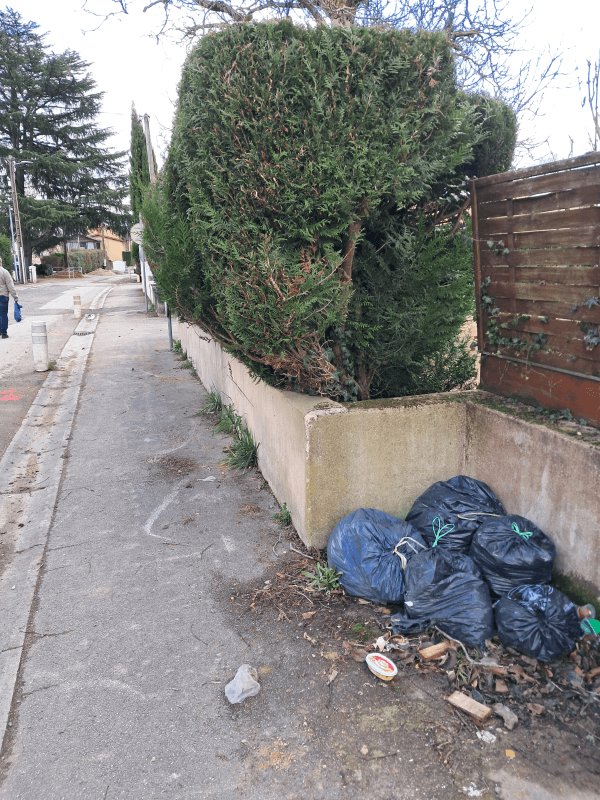 Dépôt sauvage, Rue des Petits Champs, Charnay-lès-Mâcon : avant
