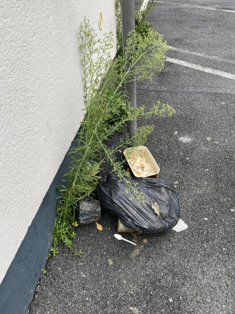 Dépôt sauvage, 9 Rue Vallée, Château-Thierry