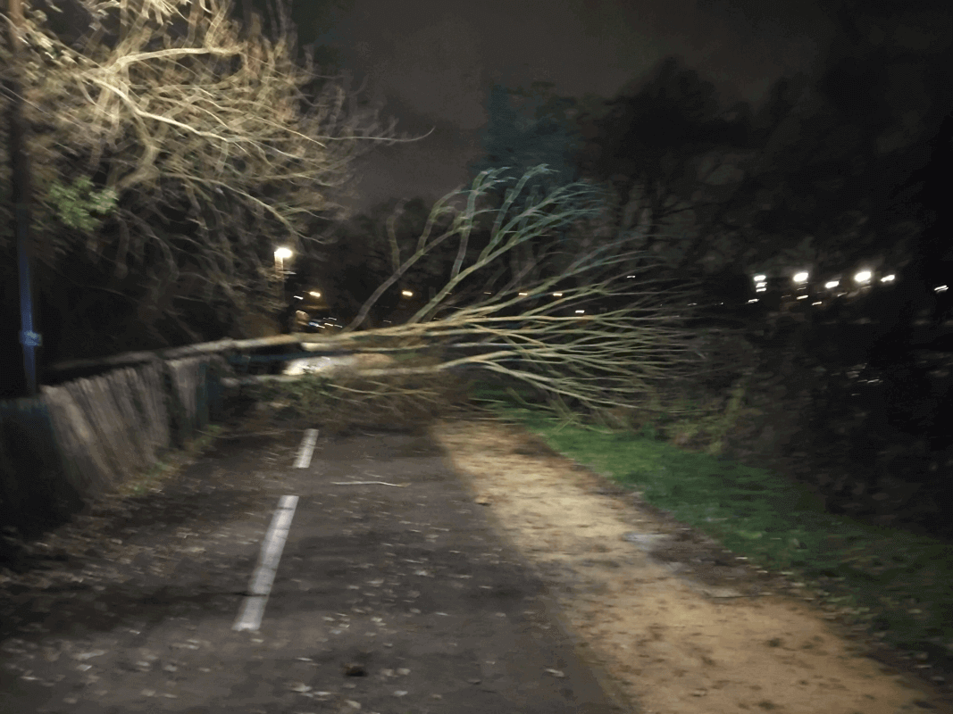 Signalement à Chelles