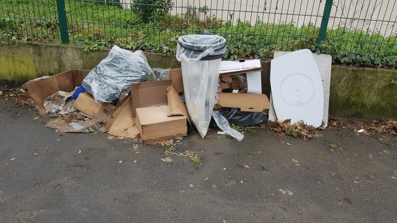Dépôt sauvage, 52 Route de la Libération, Chennevières-sur-Marne