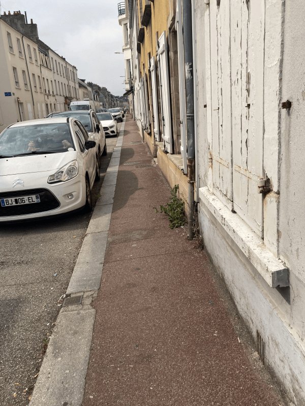 Dépôt sauvage, 12 Rue Asselin, Cherbourg-en-Cotentin : après