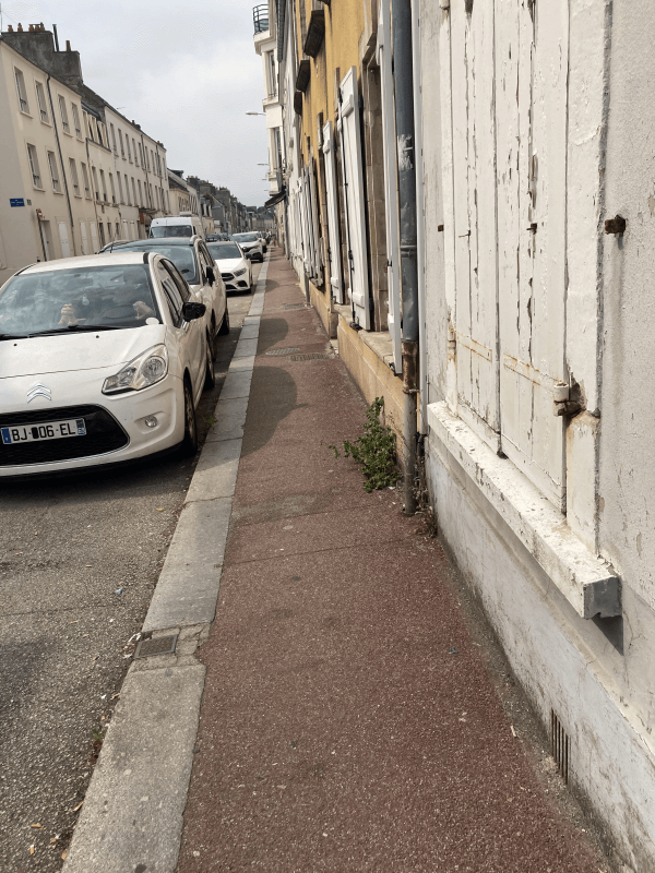 Résolution signalement à Cherbourg-en-Cotentin