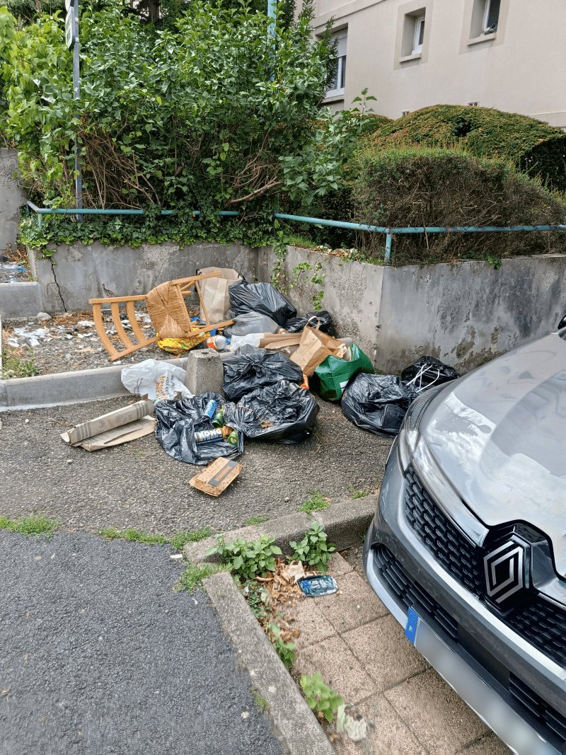 Dépôt sauvage, 58 Avenue Raymond Bergougnan, Clermont-Ferrand