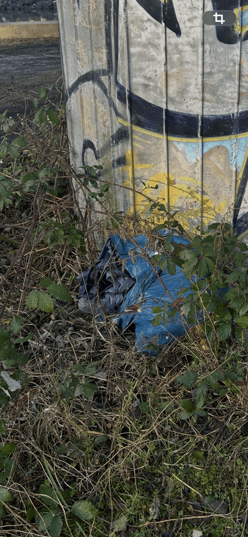 Signalement à Courrières