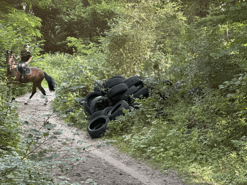 signalement à Coye-la-Forêt