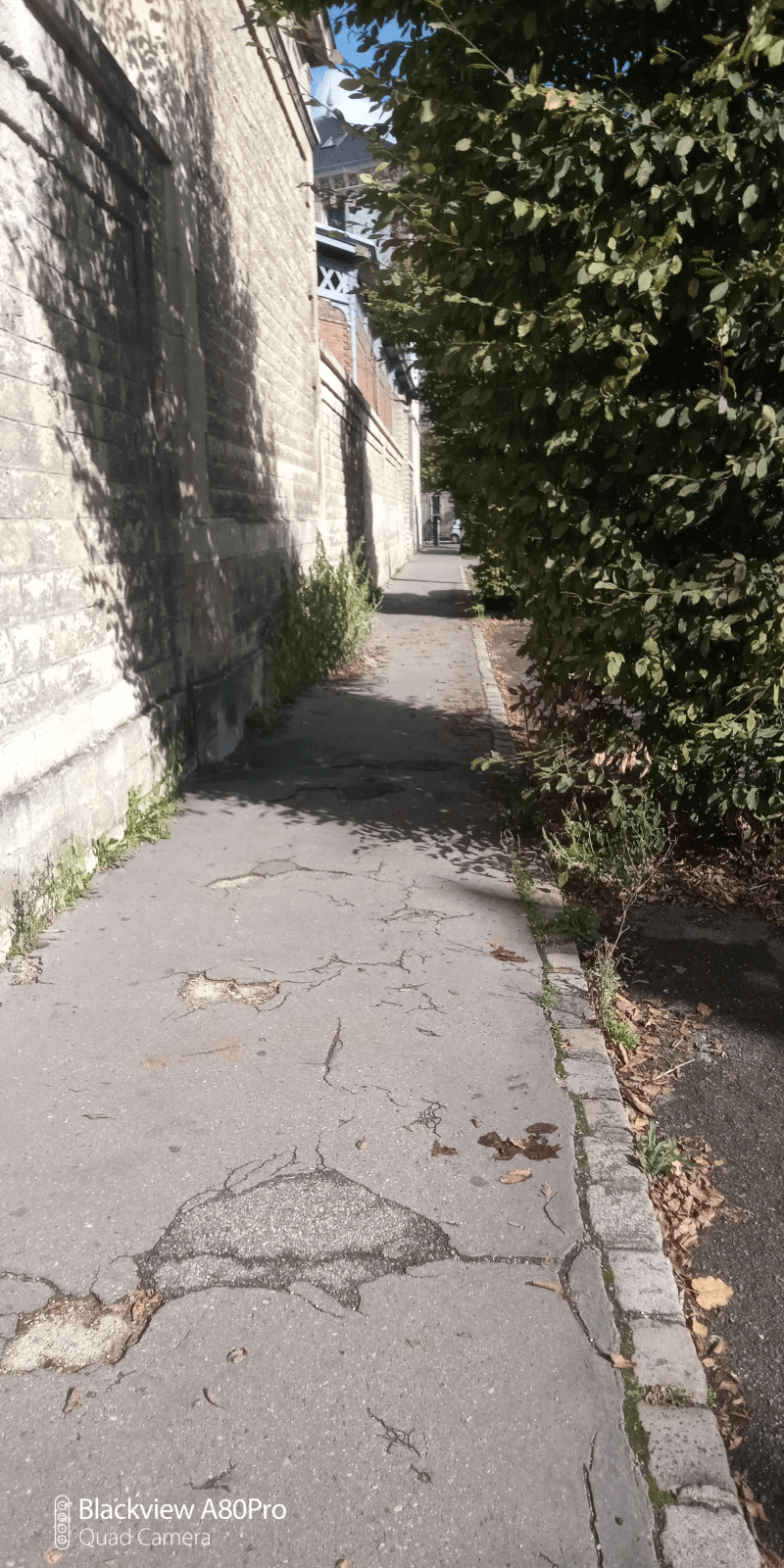 Signalement à Dijon