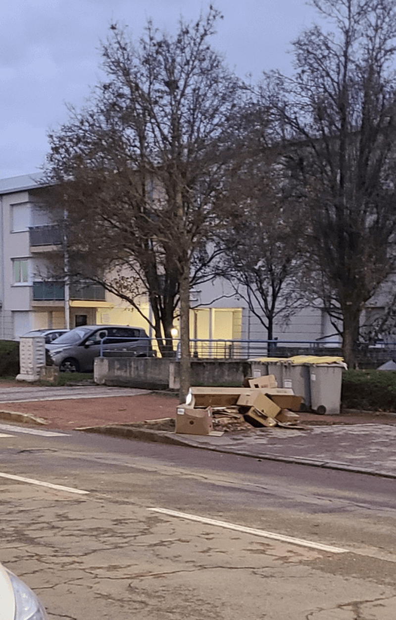 Signalement à Dijon