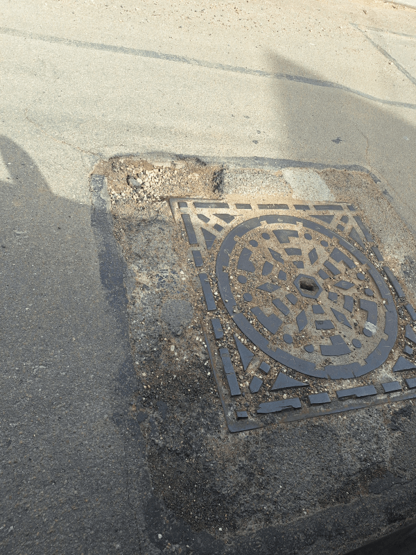 Signalement à Dijon