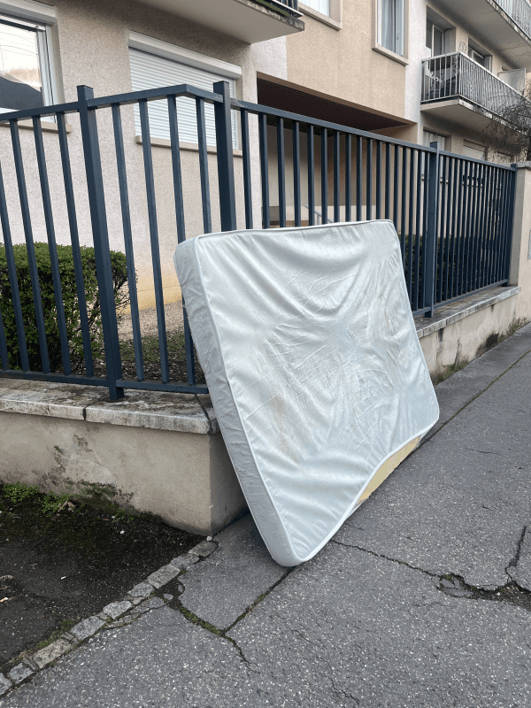 Signalement à Dijon