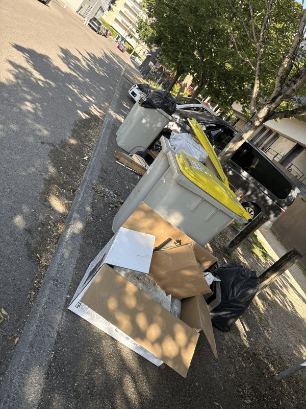 Propreté, Rue du Plein de Pouilly, Dijon
