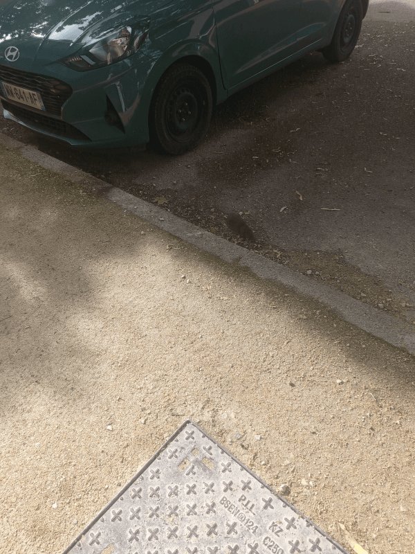 Autre, Rue du Plein de Pouilly, Dijon