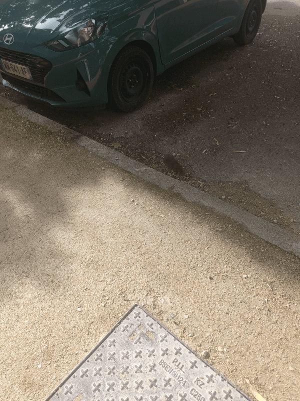 signalement à Dijon