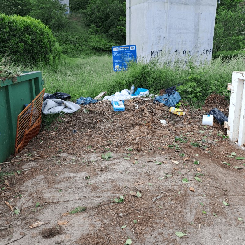 Dépôt sauvage, Dole