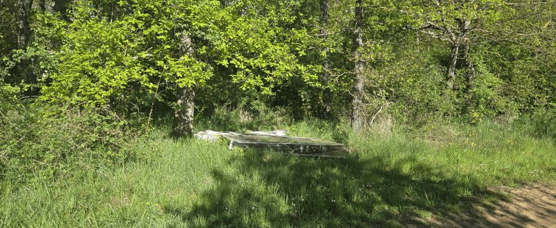 Dépôt sauvage, 10 Chemin de Mauchamp, Domérat