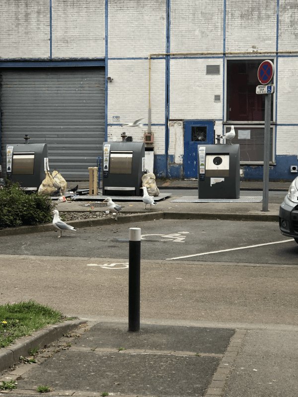 Dépôt sauvage, 14 Rue de la Verrerie, Dunkerque