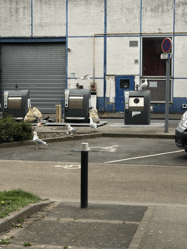 signalement à Dunkerque