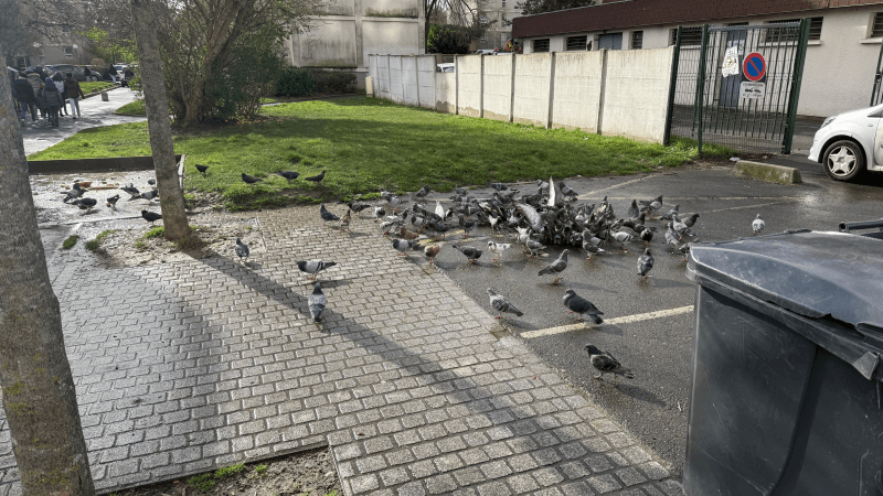 signalement à Épinay-sur-Seine