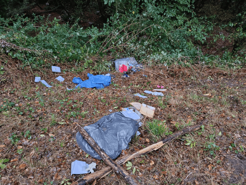 signalement à Fontanil-Cornillon