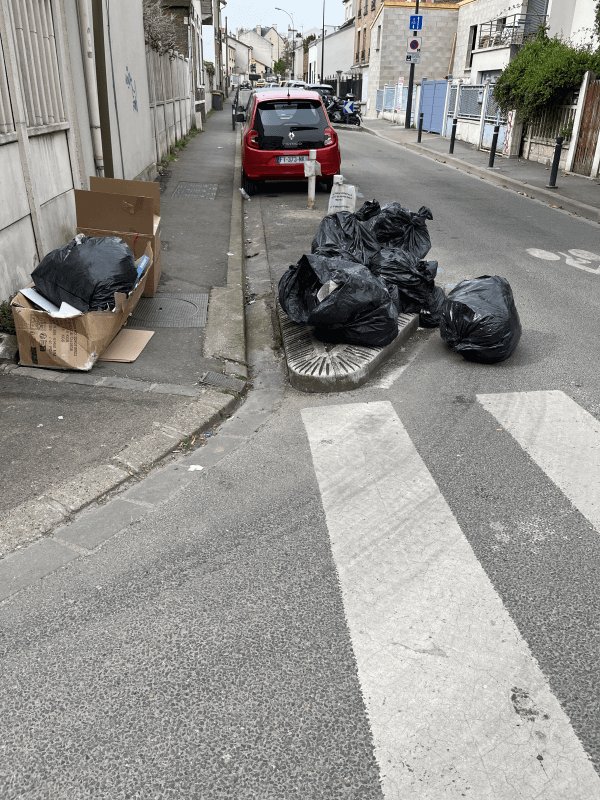 Dépôt sauvage, 73 Rue Émile Boutrais, Fontenay-sous-Bois
