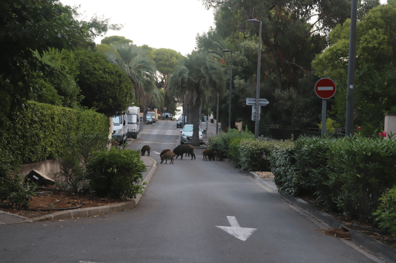 signalement à Fréjus