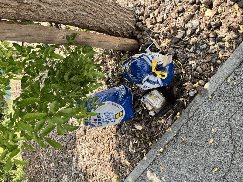 signalement à Fréjus