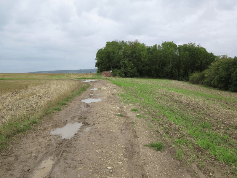 Dépôt sauvage, Gargenville : après