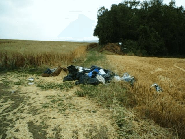 Dépôt sauvage, Gargenville : avant