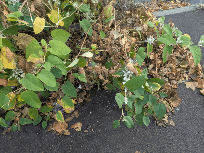 Signalement à Gennevilliers