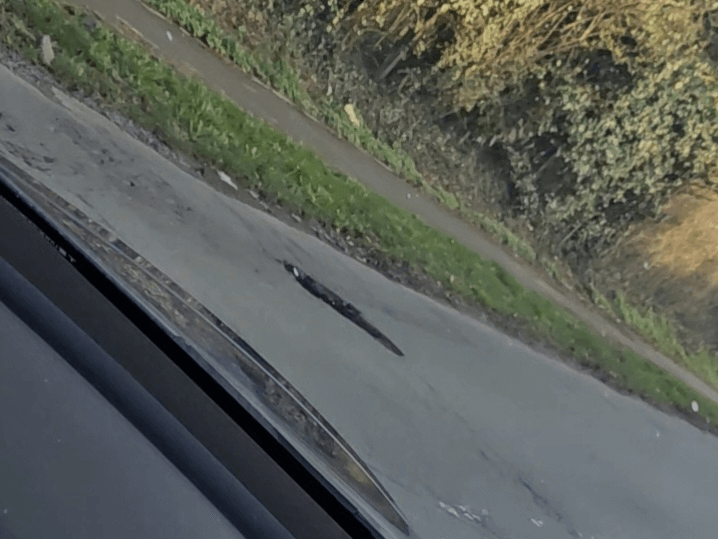 Signalement à Harnes