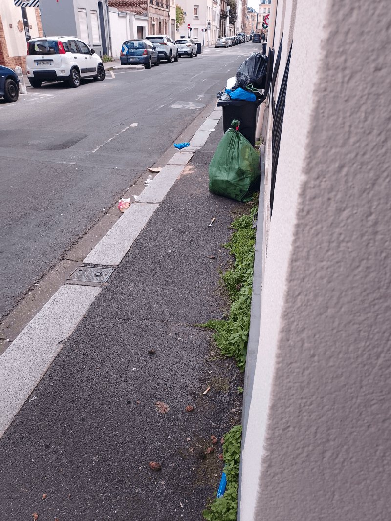 Propreté, 76 Rue Ernest Renan, Le Havre