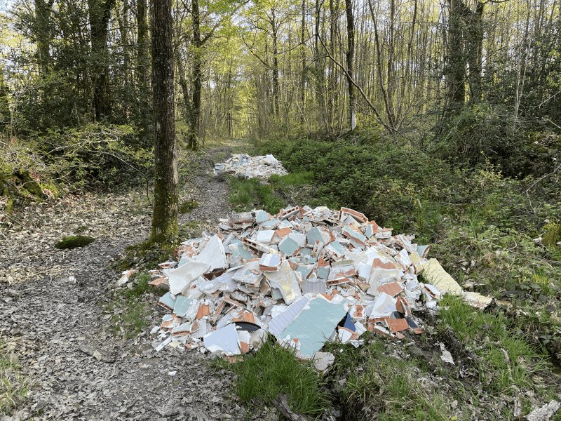 Dépôt sauvage, D 112, L'Huisserie