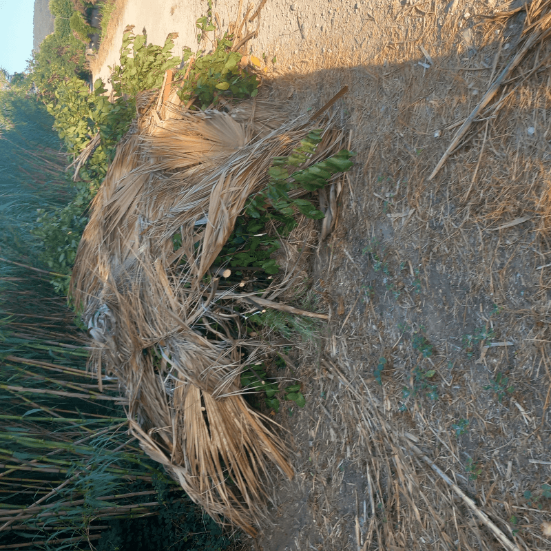 signalement à Hyères