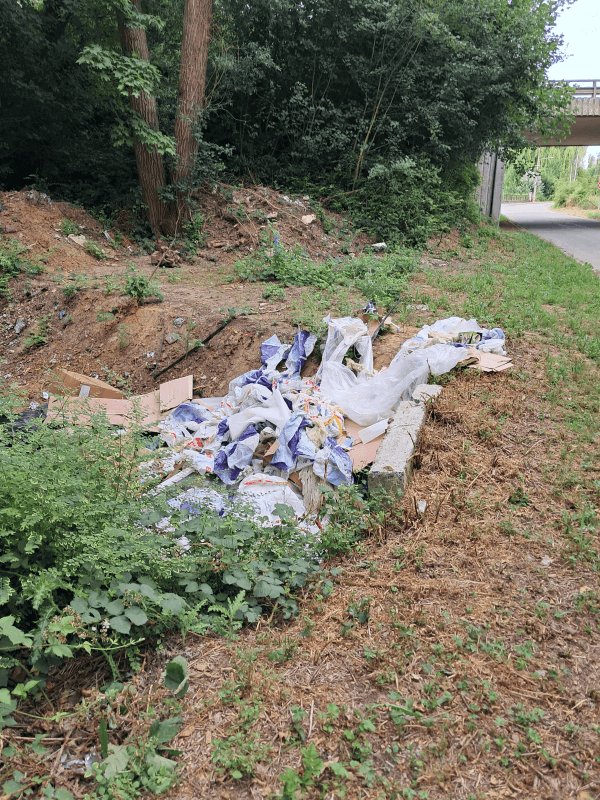 Dépôt sauvage, 179 Chemin des Fontinettes, Lambres-lez-Douai