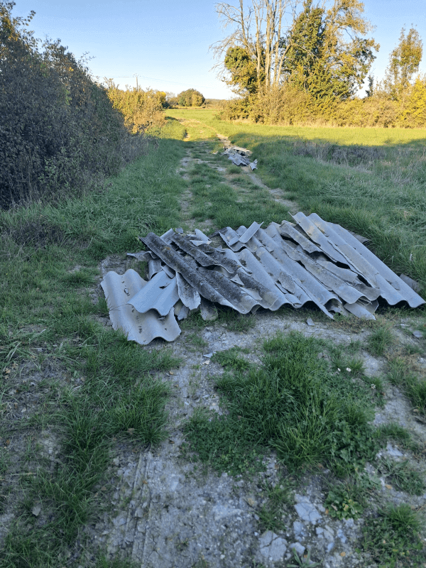 Signalement à Les Métairies