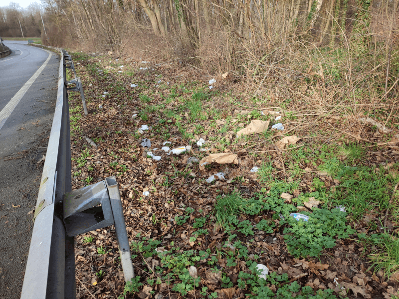 signalement à Lille