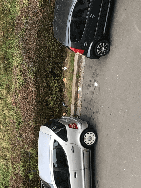 Signalement à Lille